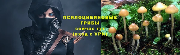 дурь Балабаново