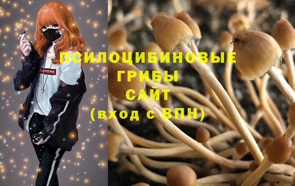 spice Балахна