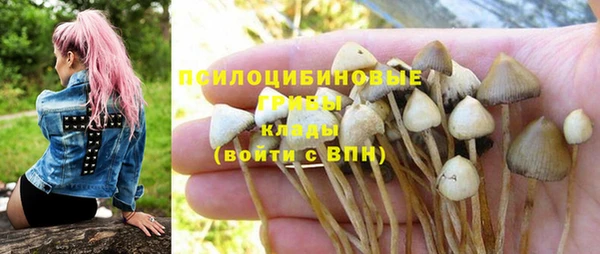 амф Арсеньев