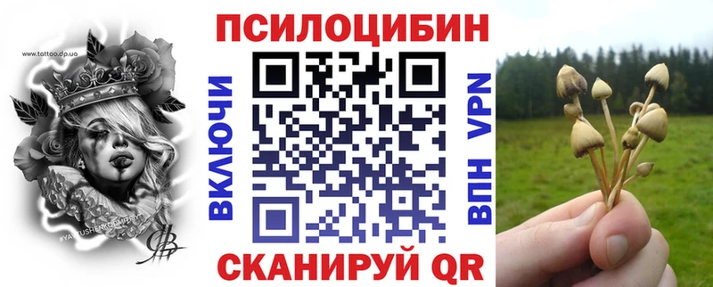 Галлюциногенные грибы Psilocybe  Горнозаводск 