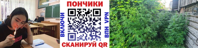 Каннабис планчик  дарнет шоп  Горнозаводск 